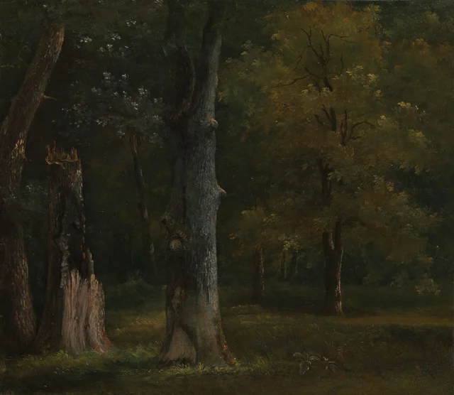 Trees in the Bois de Boulogne, Paris, Achille Etna Michallon