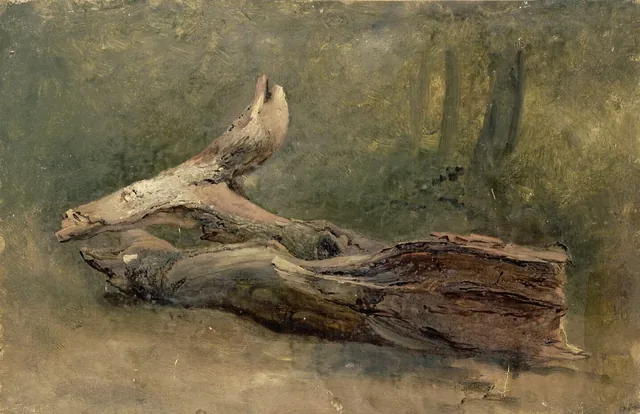 Study of a Fallen Tree, Achille Etna Michallon