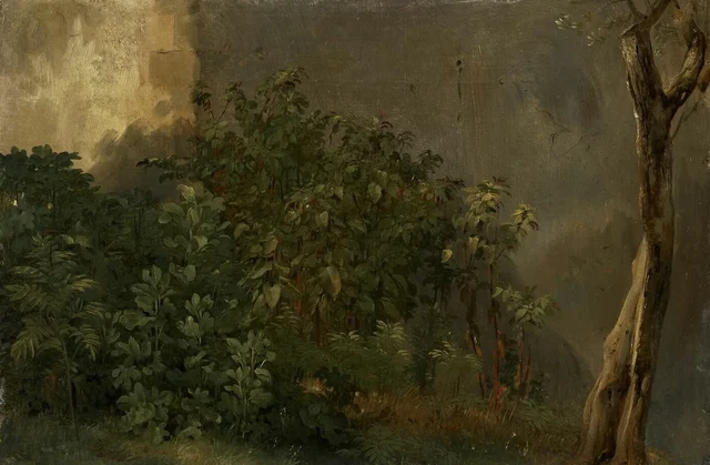 Estudio de plantas