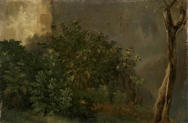 Study of Plants, Achille Etna Michallon