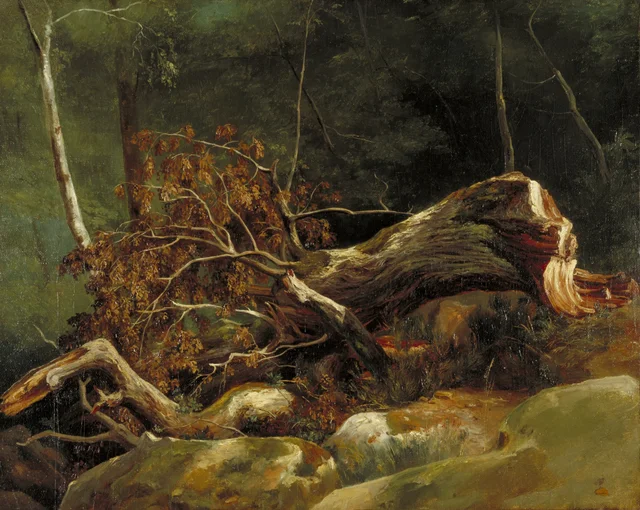 The Fallen Branch, Fontainebleau, Achille Etna Michallon