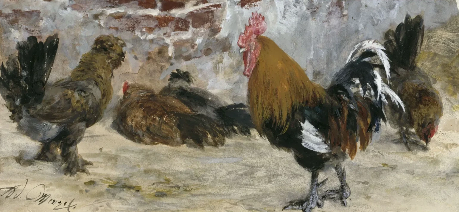 El gallo y las gallinas (Álbum para niños), Adolph Menzel