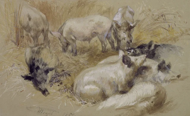 Porcos num campo de trigo, Adolph Menzel