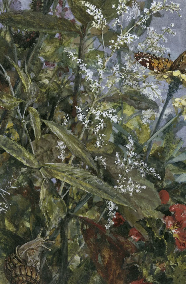 Flowers with a Butterfly and a Snail (Children's Album), Adolph Menzel