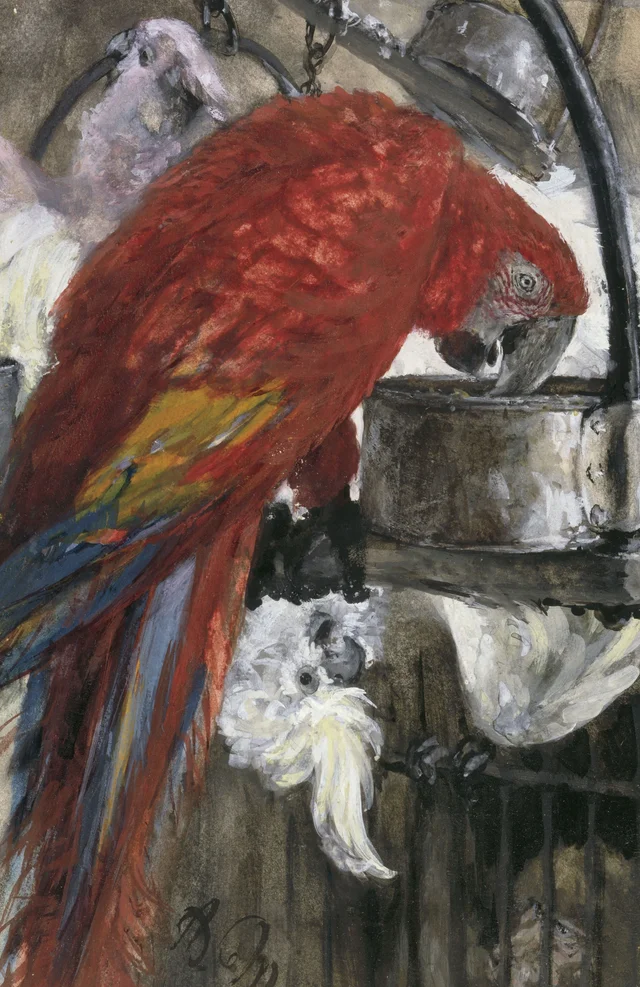 The Red Macaw and Cockatoos (Children's Album), Adolph Menzel