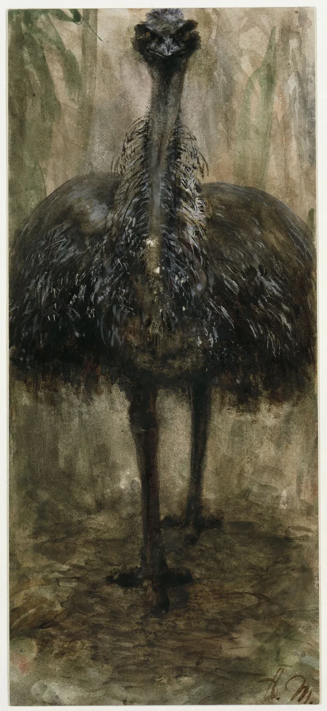 El emú (Álbum para niños), Adolph Menzel