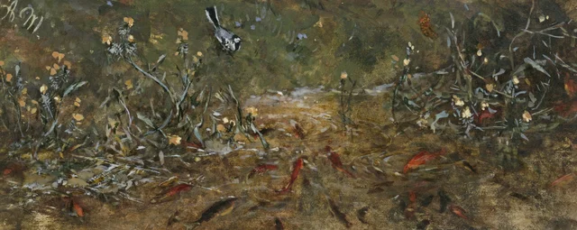 El estanque de los peces rojos (Álbum para niños)