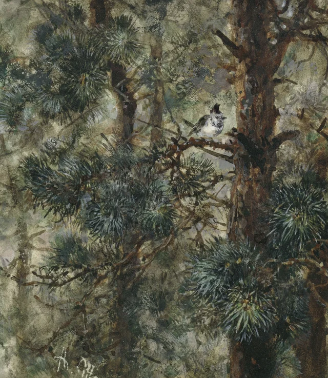 El herrerillo capuchino entre las ramas del pino (Álbum para niños), Adolph Menzel