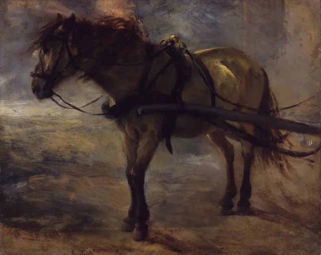 O cavalo de tiro