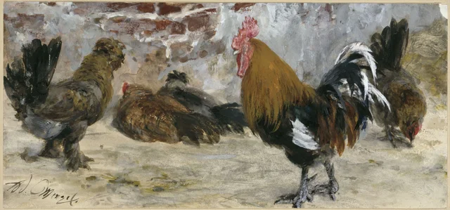 Le Coq et les poules (Album pour les enfants)