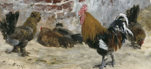 El gallo y las gallinas (Álbum para niños)