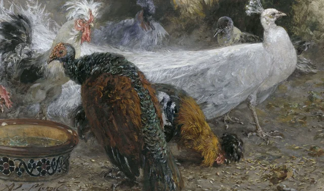 El pavo real blanco con una pava y gallinas (Álbum para niños), Adolph Menzel