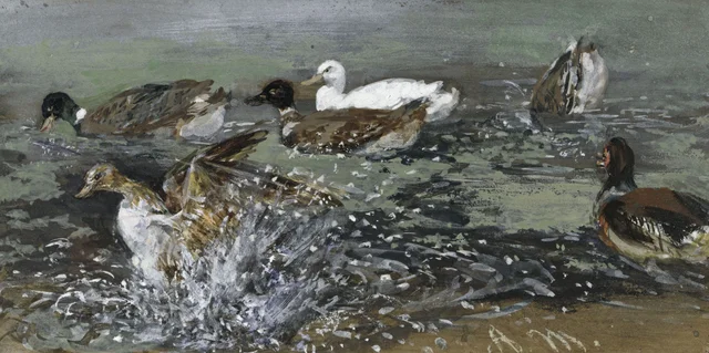 Los patos en el agua (Álbum para niños)