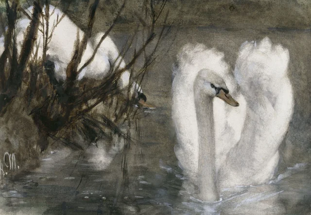 Los dos cisnes (Álbum para niños), Adolph Menzel