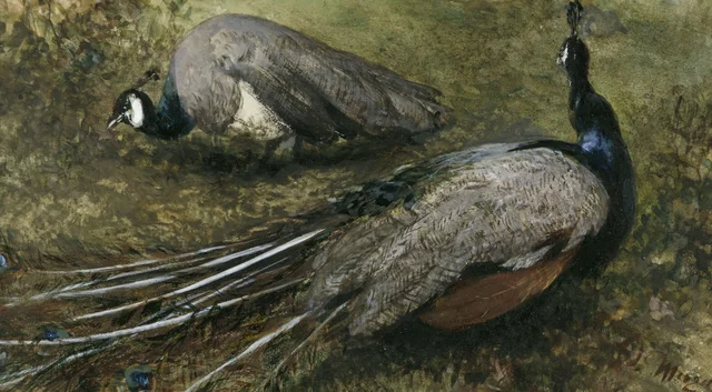 Los dos pavos reales (Álbum para niños), Adolph Menzel