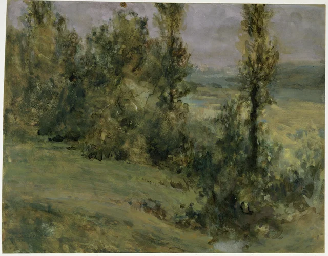 Paisagem com árvores sob céu encoberto