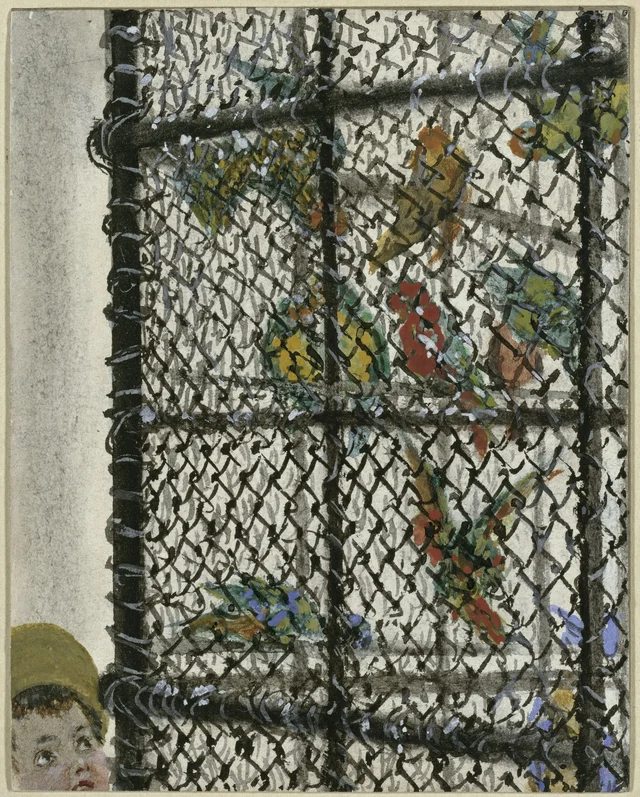 Perruches dans une volière (Album pour les enfants)