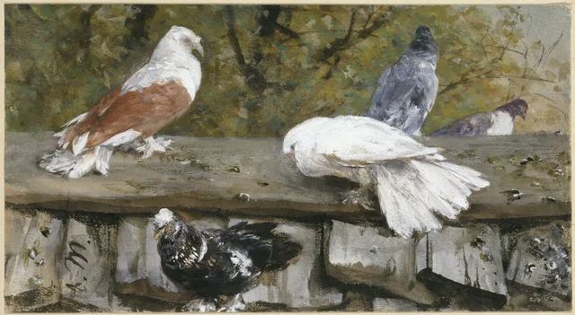 Pigeons sur un toit de bois (Album pour les enfants)