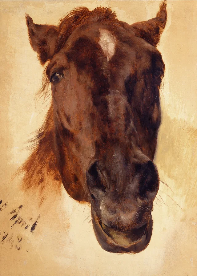 Cabeza de caballo