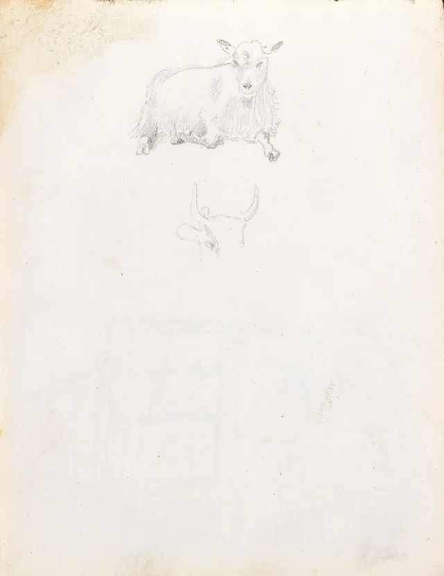 動物の習作