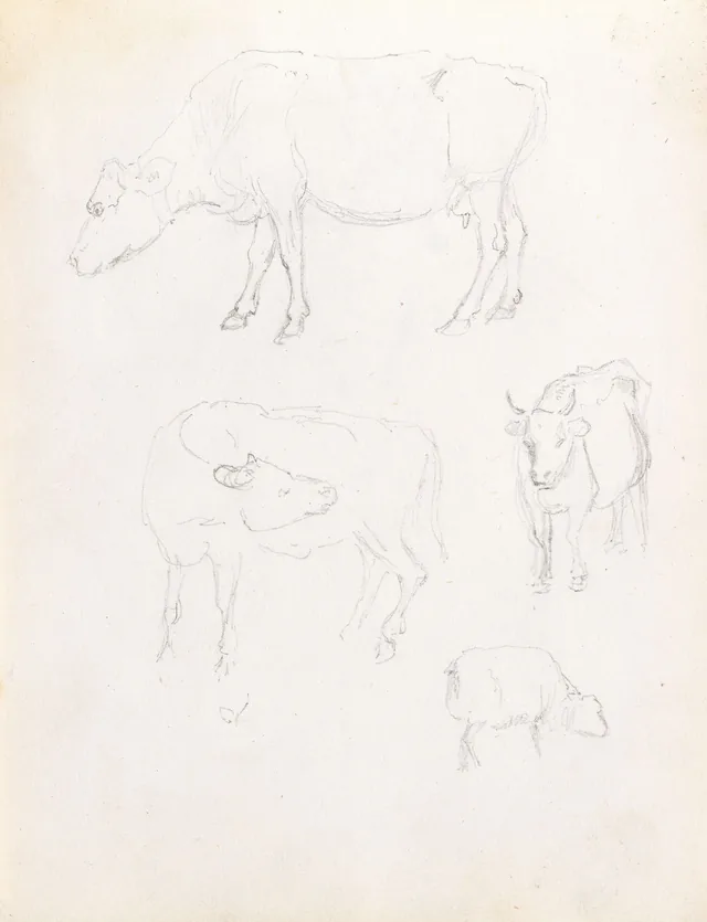 動物の習作