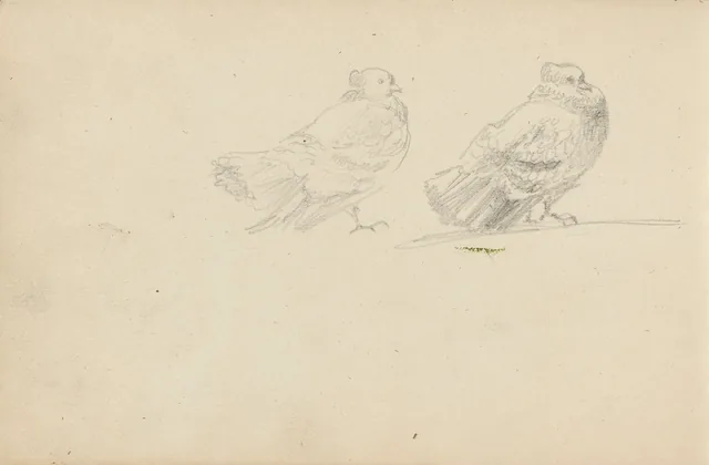 鳥の習作
