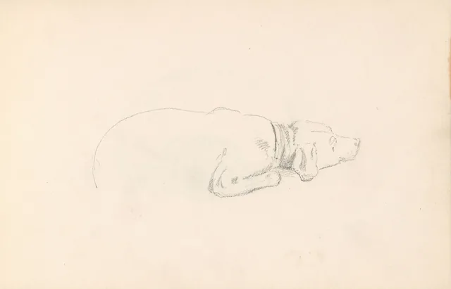 横たわる犬