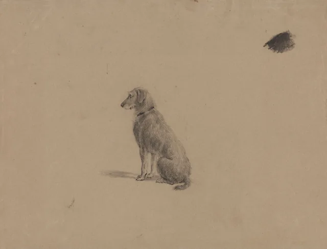 座る犬