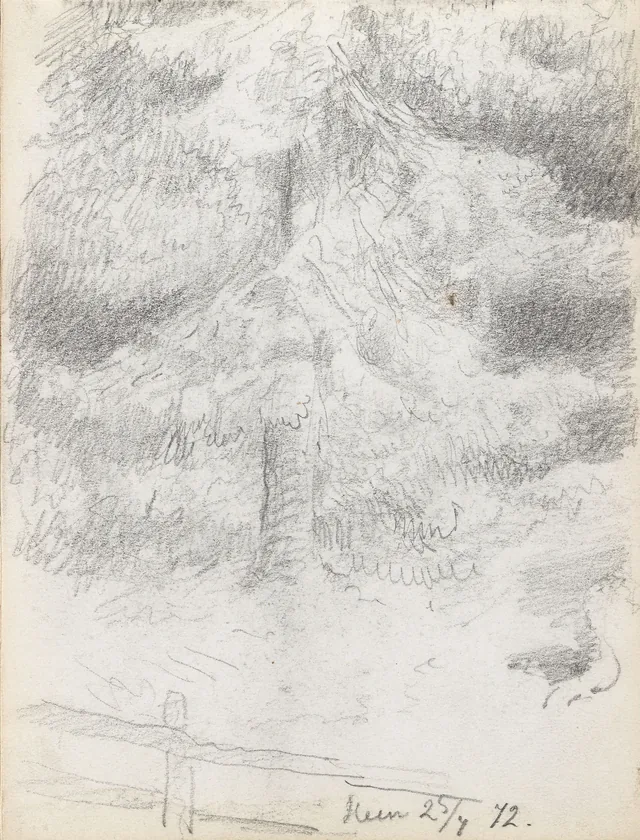 木の習作、ヘン
