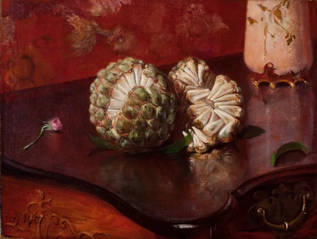 Sweetsop, Agostinho José da Mota