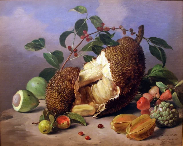 Still Life with Fruits, Agostinho José da Mota
