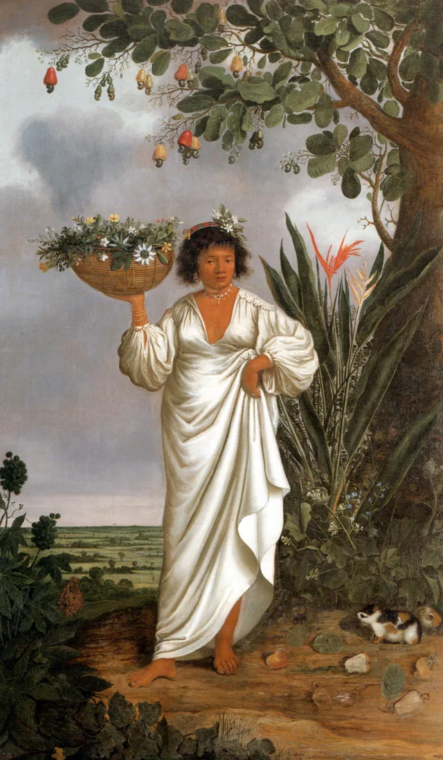 Mestiza Woman, Albert Eckhout