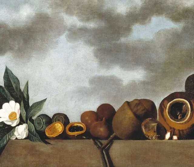 Brazil Nuts, Albert Eckhout