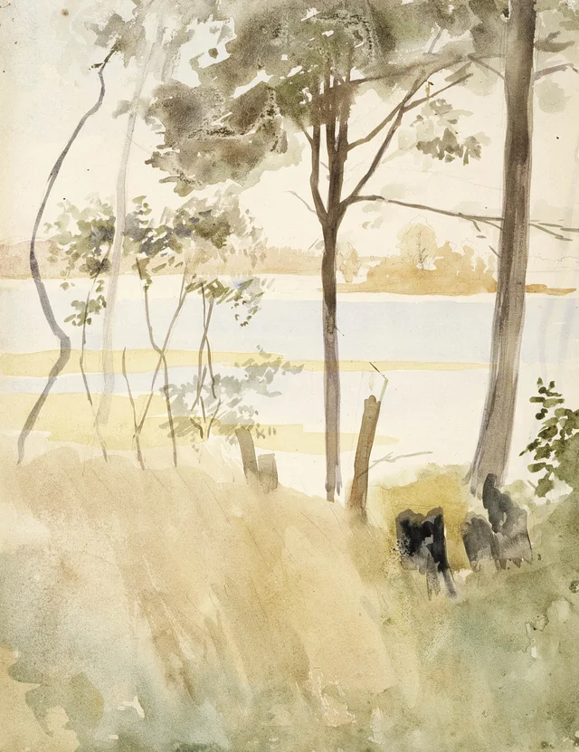 Paisaje de orilla