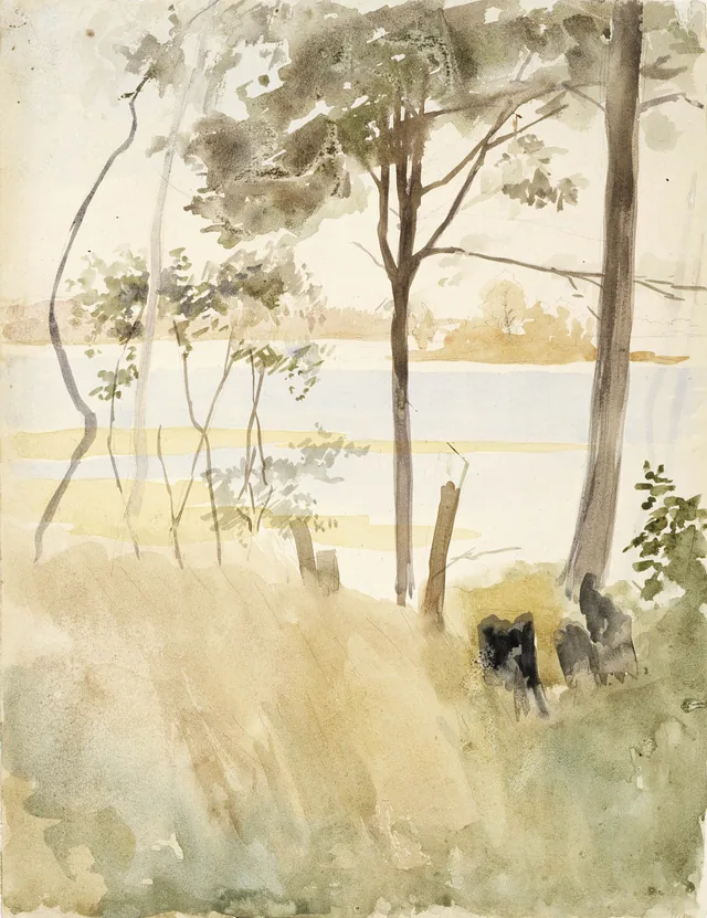 岸辺の風景