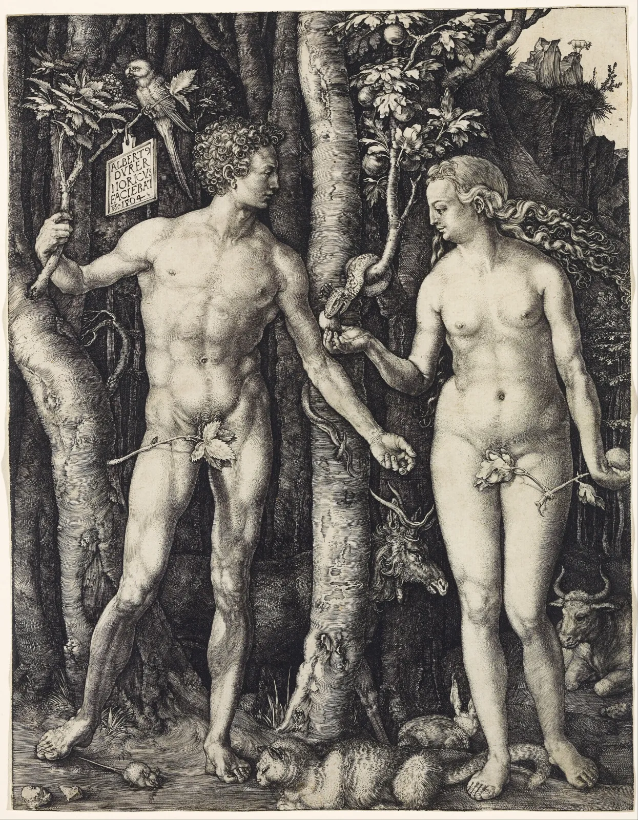 Adam et Ève, Albrecht Dürer