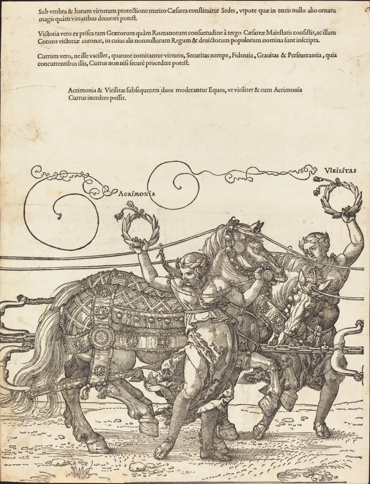 Der große Triumphwagen des Kaisers Maximilian I. (Blatt 6 von 8), Albrecht Dürer