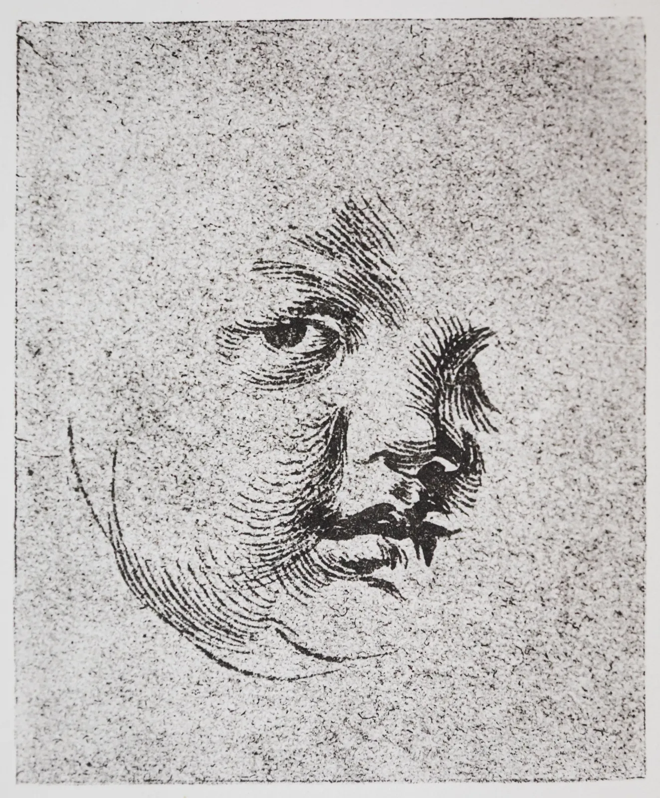 Engelsköpfchen, Albrecht Dürer