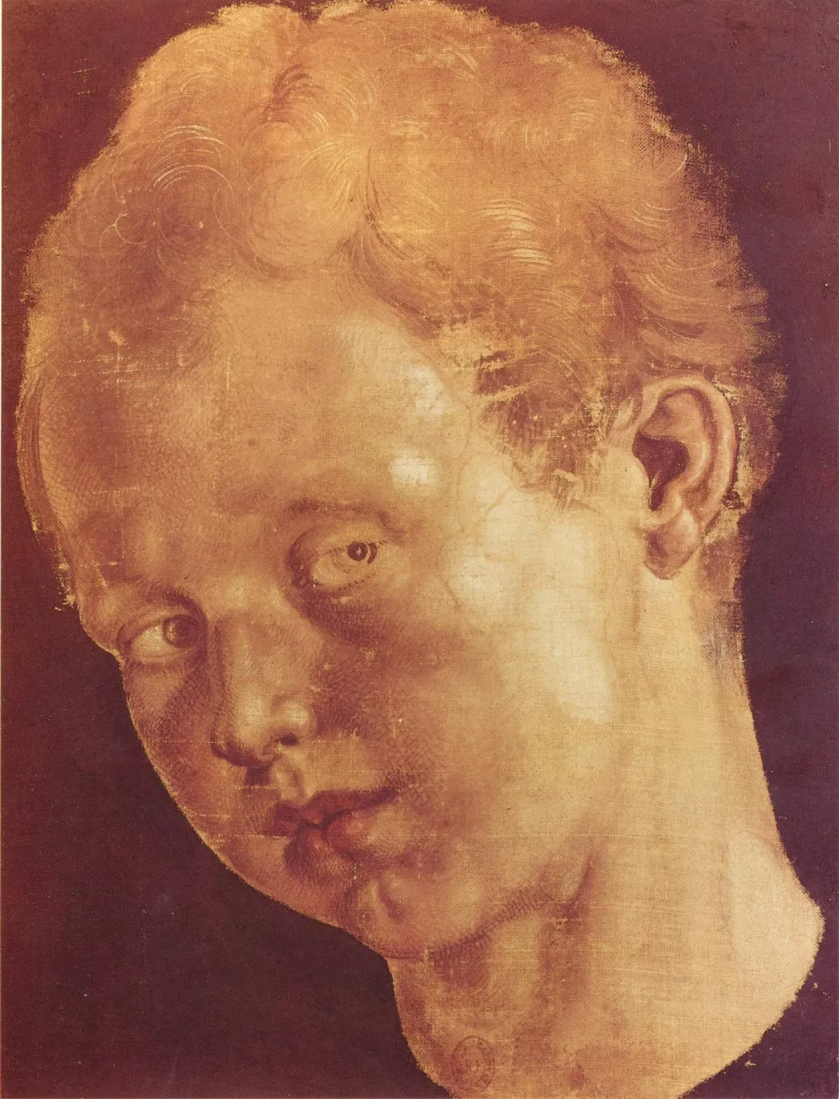 Tête de garçon penchée vers la gauche, Albrecht Dürer