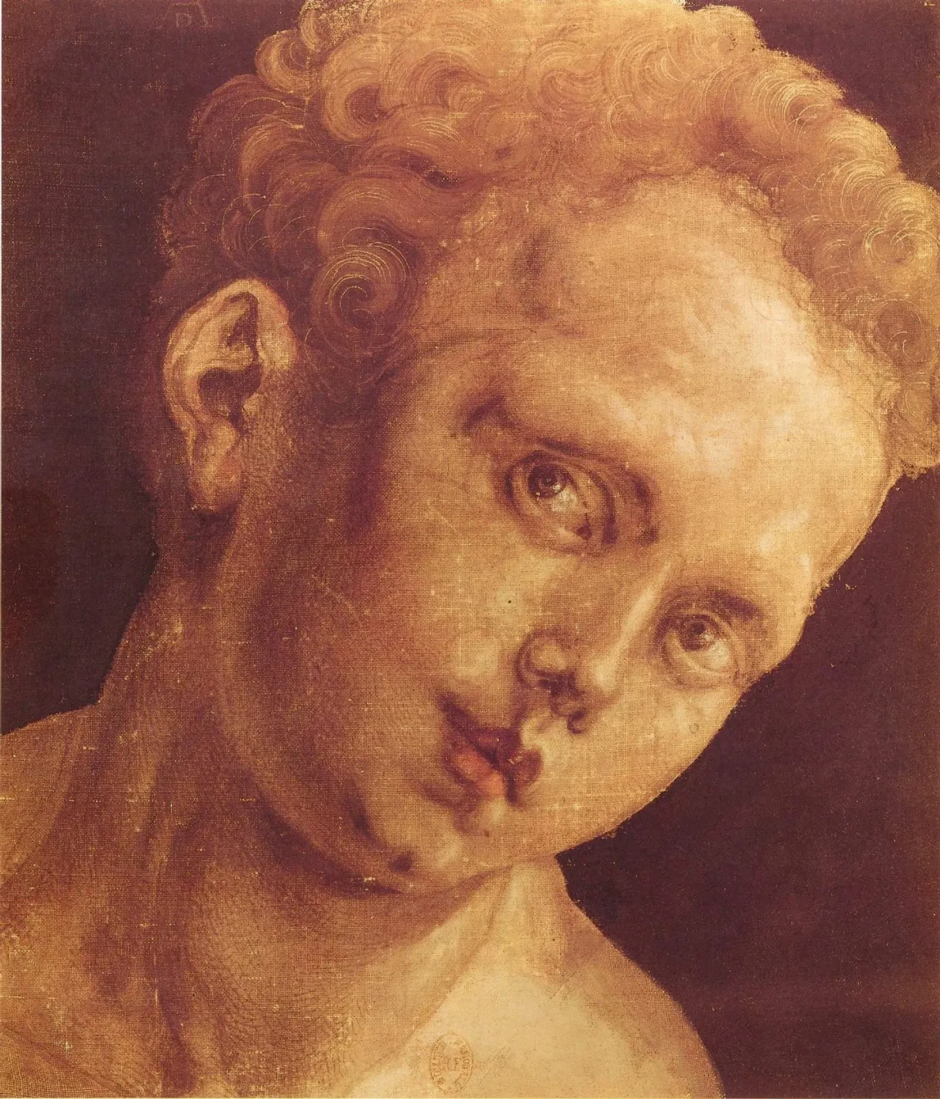 Knabenkopf nach rechts geneigt, Albrecht Dürer