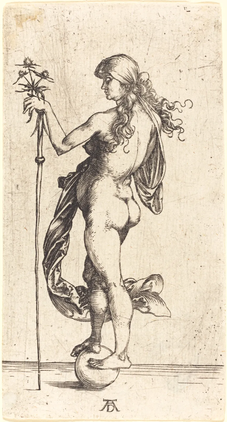La Petite Fortune, Albrecht Dürer