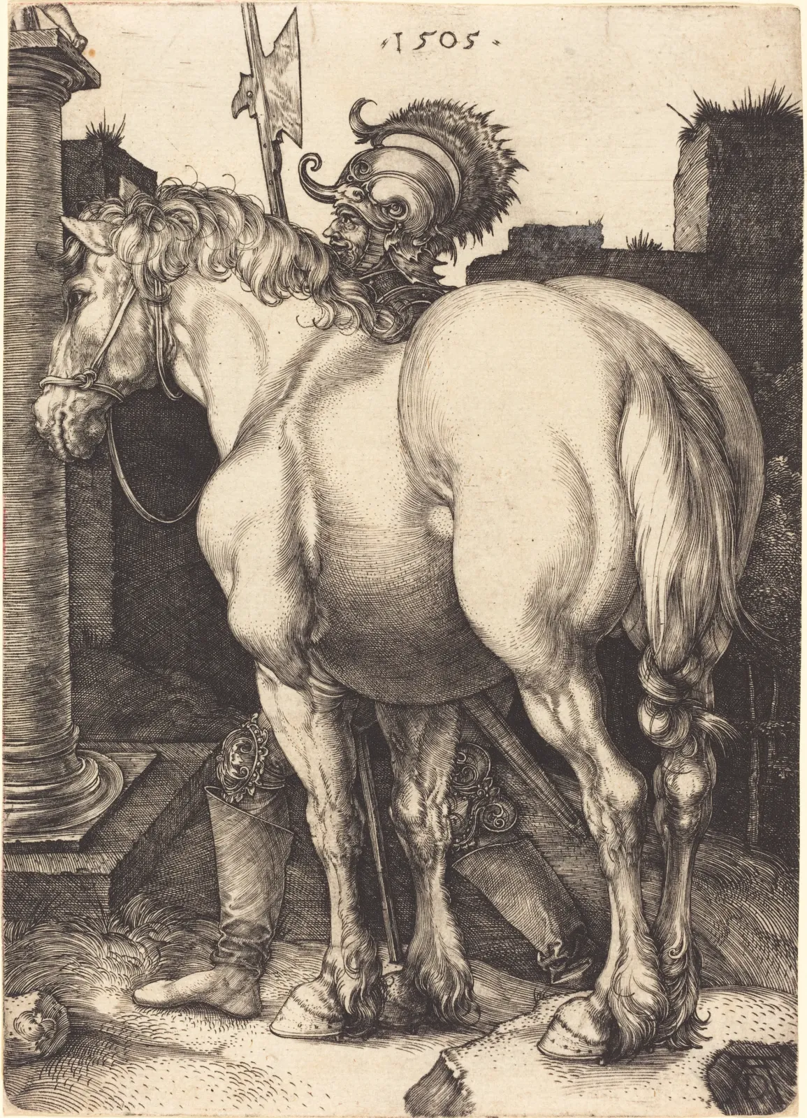 Le Grand cheval, Albrecht Dürer