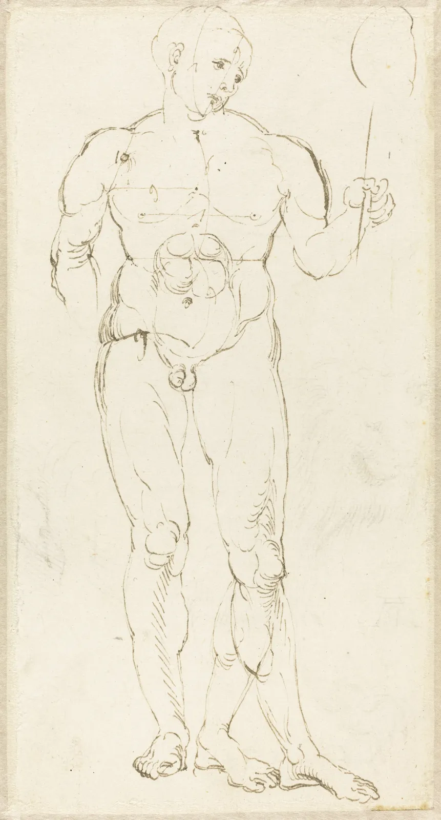 Männerakt mit Spiegel, Albrecht Dürer
