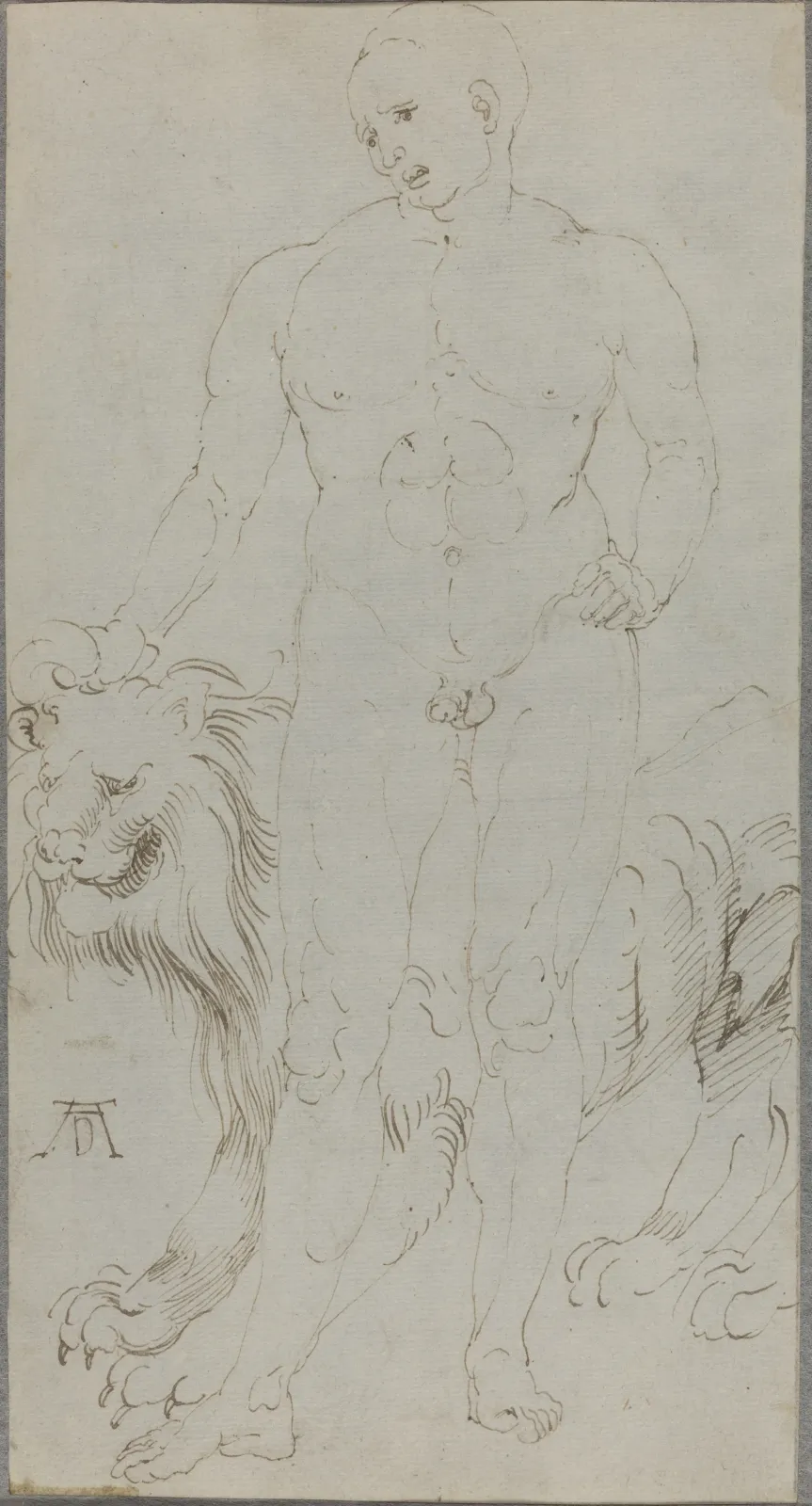 Homme nu avec un lion, Albrecht Dürer