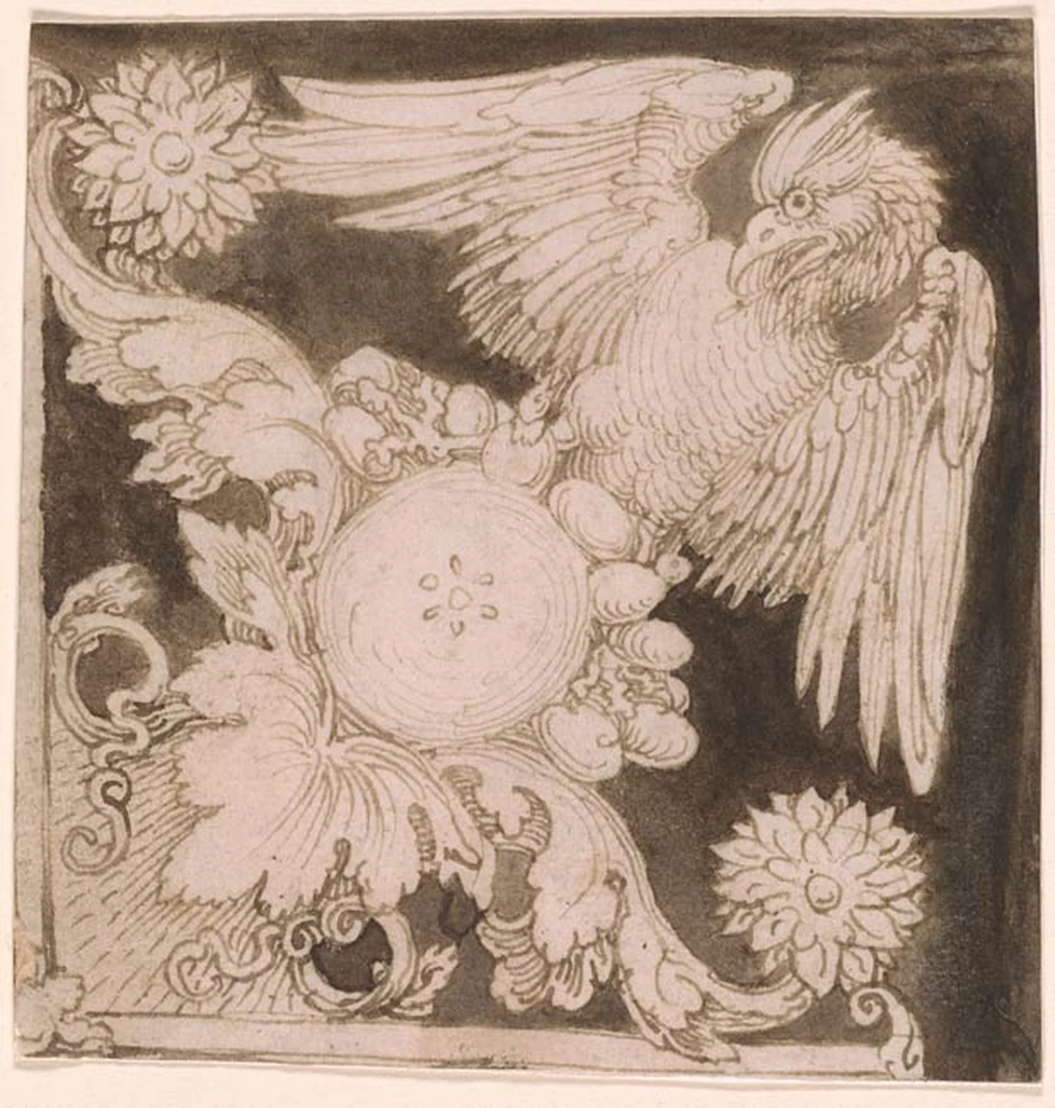 Remplissage ornemental, Albrecht Dürer