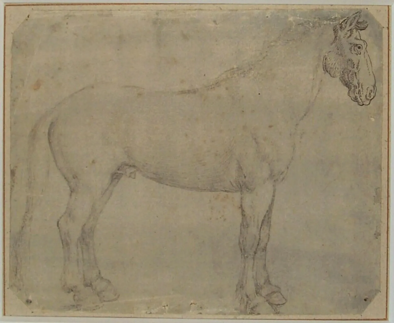 Cheval vers la droite, Albrecht Dürer
