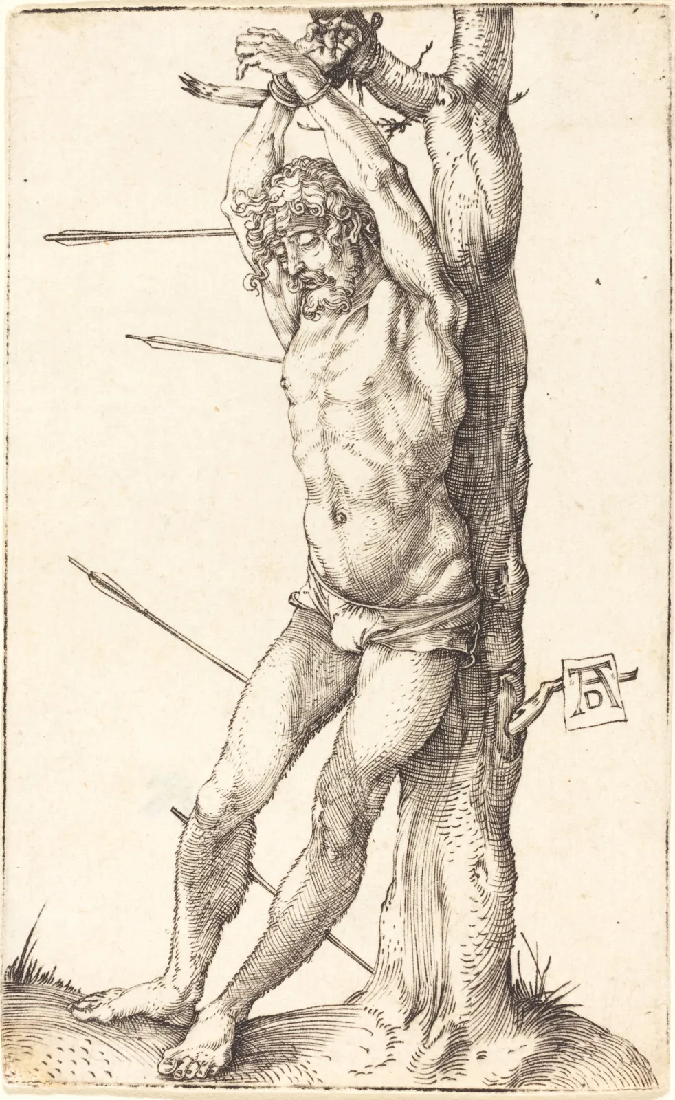Saint Sébastien attaché à un arbre, Albrecht Dürer