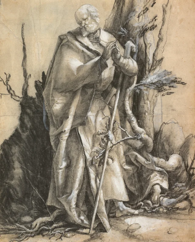 Santo barbudo en un bosque
