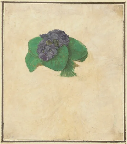 Bouquet de violette