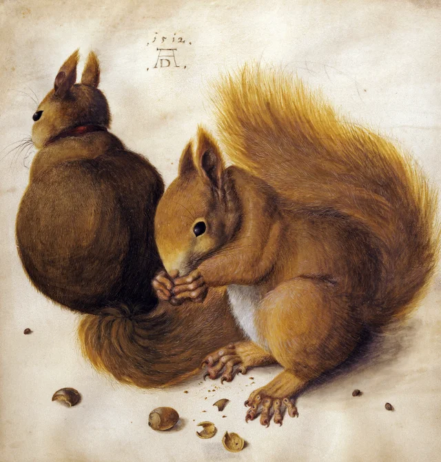 Dos ardillas